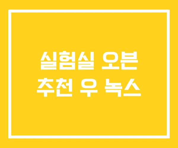 실험실 오븐 추천 우 녹스 실험실 오븐 추천 우 녹스