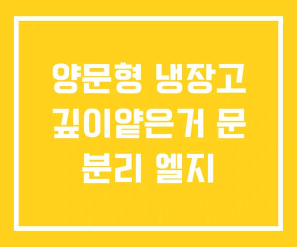 양문형 냉장고 깊이얕은거 문 분리 엘지 양문형 냉장고 깊이얕은거 문 분리 엘지