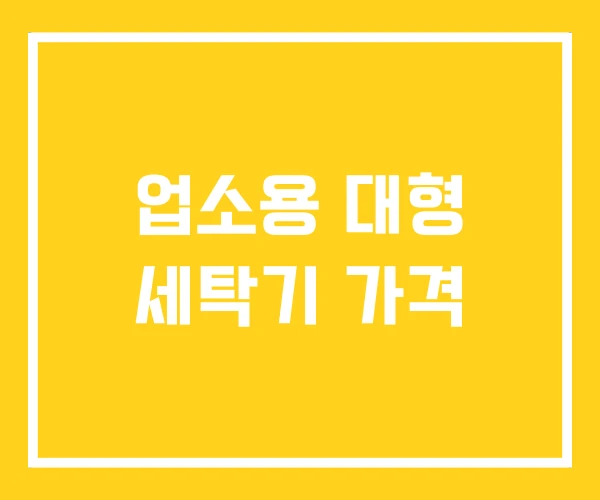 업소용 대형 세탁기 가격