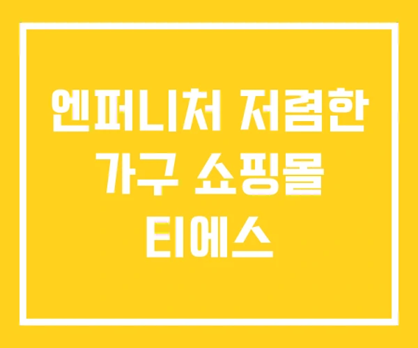 엔퍼니처 저렴한 가구 쇼핑몰 티에스