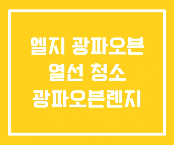 엘지 광파오븐 열선 청소 광파오븐렌지
