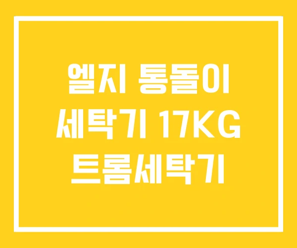 엘지 통돌이 세탁기 17KG 트롬세탁기 엘지 통돌이 세탁기 17KG 트롬세탁기