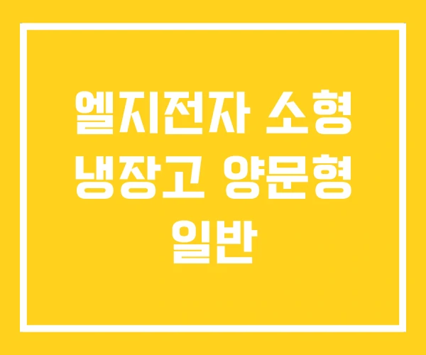 엘지전자 소형 냉장고 양문형 일반 엘지전자 소형 냉장고 양문형 일반