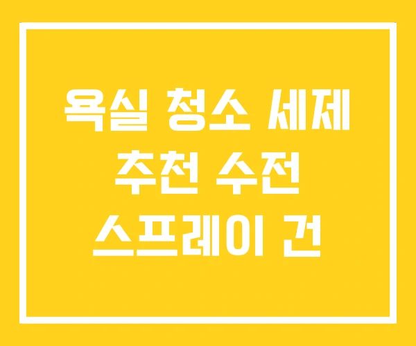 욕실 청소 세제 추천 수전 스프레이 건