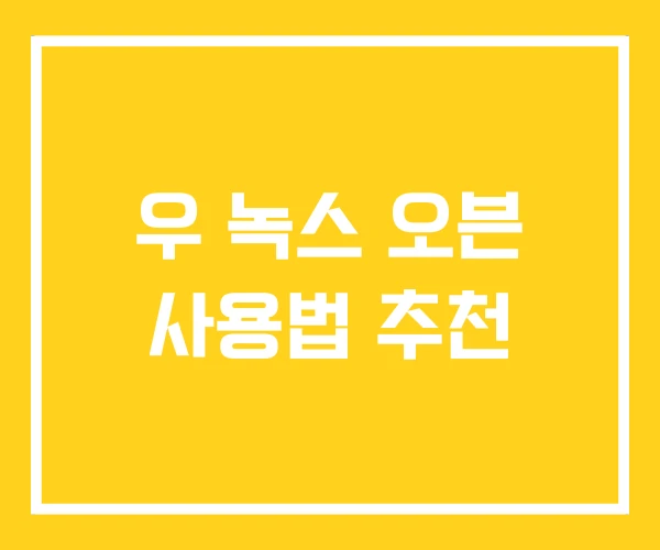 우 녹스 오븐 사용법 추천