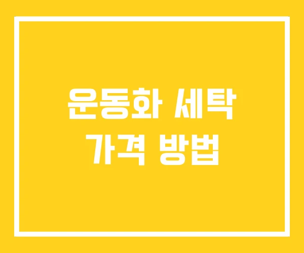 운동화 세탁 가격 방법