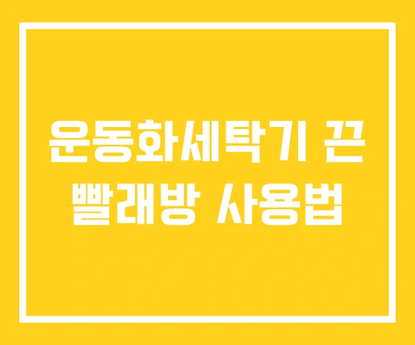 운동화세탁기 끈 빨래방 사용법 운동화세탁기 끈 빨래방 사용법