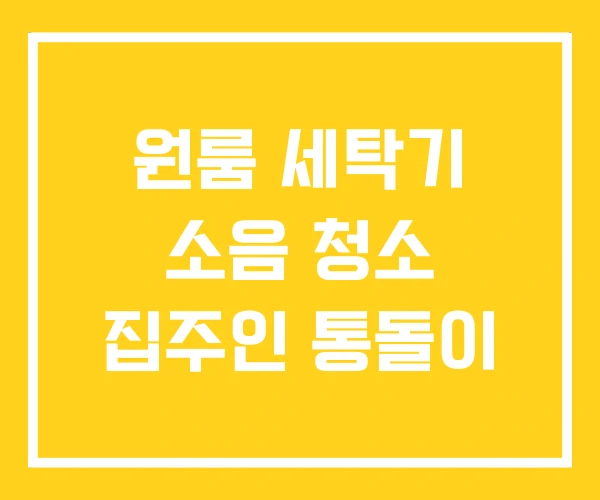 원룸 세탁기 소음 청소 집주인 통돌이 원룸 세탁기 소음 청소 집주인 통돌이