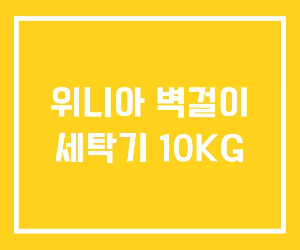위니아 벽걸이 세탁기 10KG 위니아 벽걸이 세탁기 10KG
