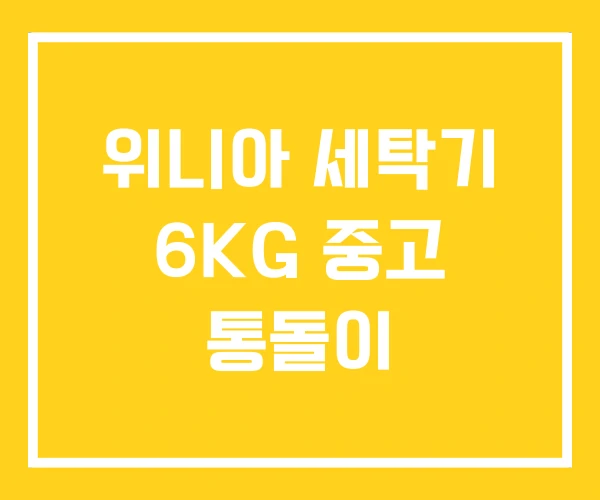 위니아 세탁기 6KG 중고 통돌이