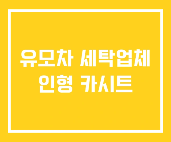 유모차 세탁업체 인형 카시트 유모차 세탁업체 인형 카시트