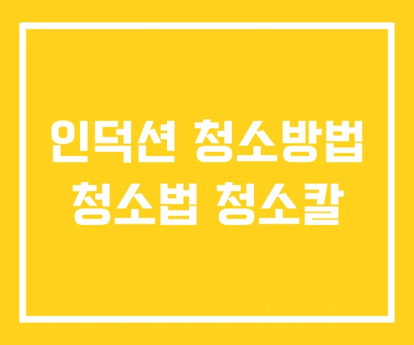 인덕션 청소방법 청소법 청소칼