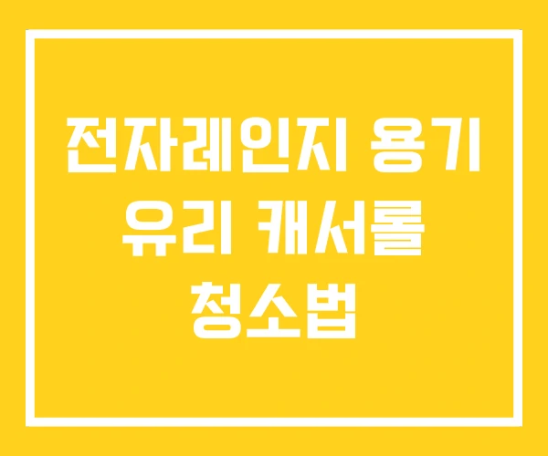 전자레인지 용기 유리 캐서롤 청소법