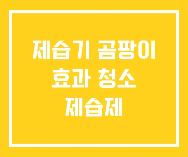 제습기 곰팡이 효과 청소 제습제