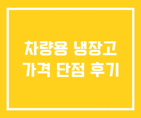 차량용 냉장고 가격 단점 후기