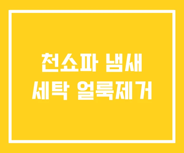 천쇼파 냄새 세탁 얼룩제거 천쇼파 냄새 세탁 얼룩제거