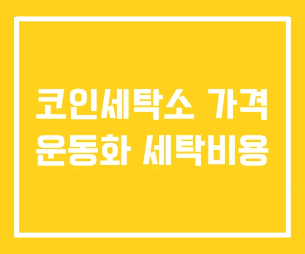 코인세탁소 가격 운동화 세탁비용 코인세탁소 가격 운동화 세탁비용