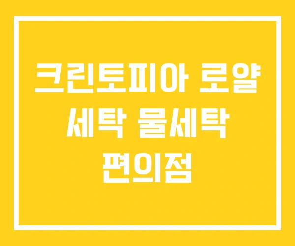 크린토피아 로얄 세탁 물세탁 편의점