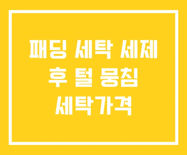 패딩 세탁 세제 후 털 뭉침 세탁가격