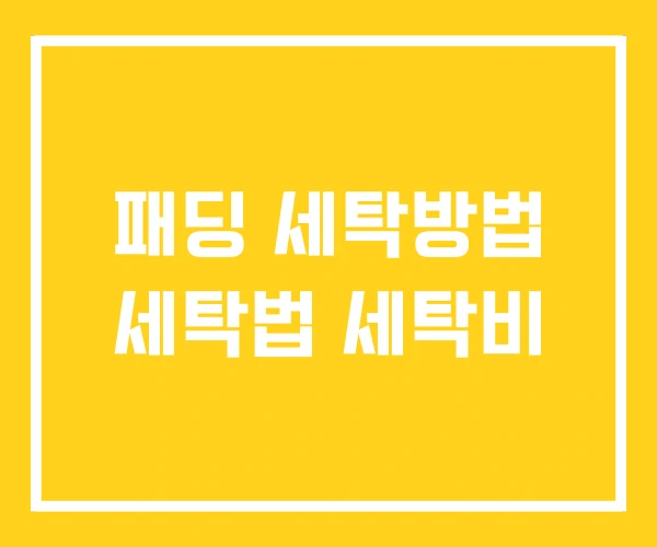 패딩 세탁방법 세탁법 세탁비