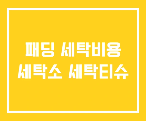 패딩 세탁비용 세탁소 세탁티슈