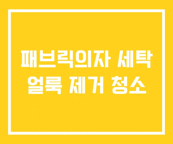 패브릭의자 세탁 얼룩 제거 청소 패브릭의자 세탁 얼룩 제거 청소