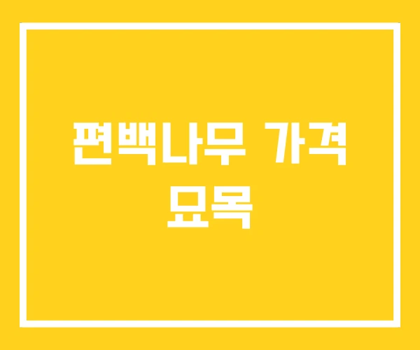 편백나무 가격 묘목