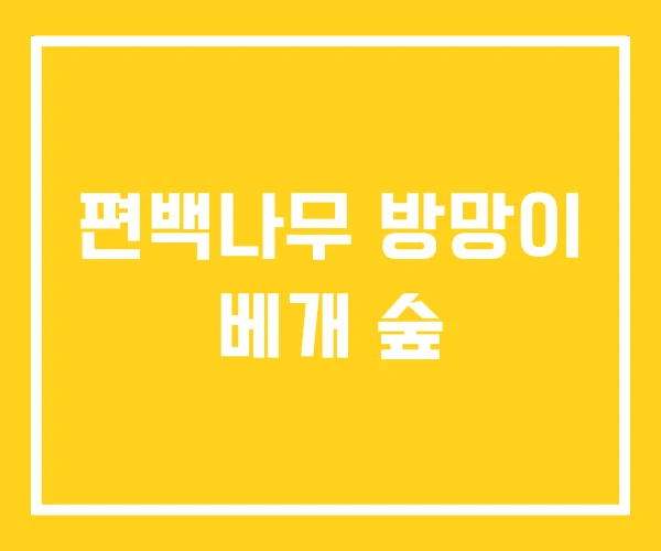 편백나무 방망이 베개 숲