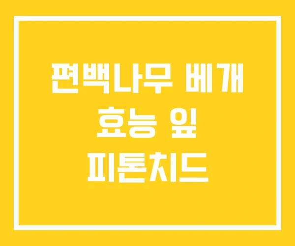 편백나무 베개 효능 잎 피톤치드