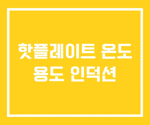 핫플레이트 온도 용도 인덕션