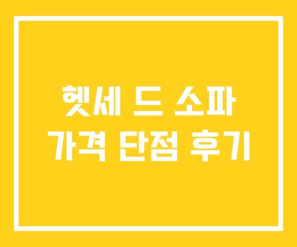헷세 드 소파 가격 단점 후기
