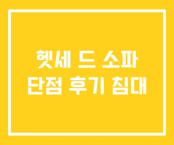 헷세 드 소파 단점 후기 침대 헷세 드 소파 단점 후기 침대