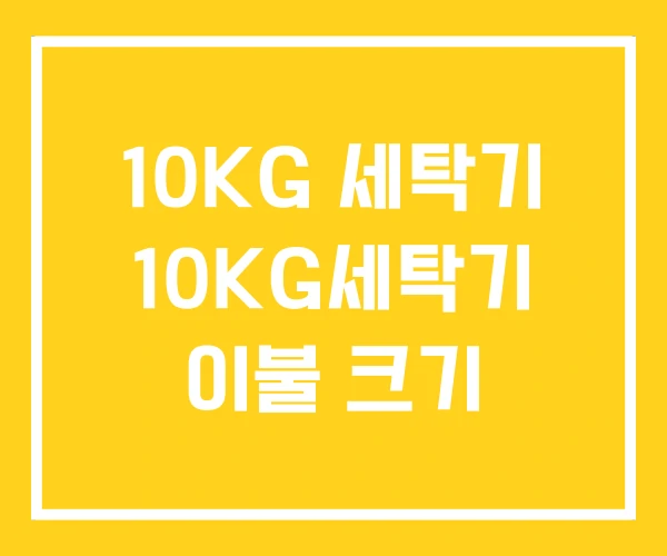 10KG 세탁기 10KG세탁기 이불 크기 10KG 세탁기 10KG세탁기 이불 크기