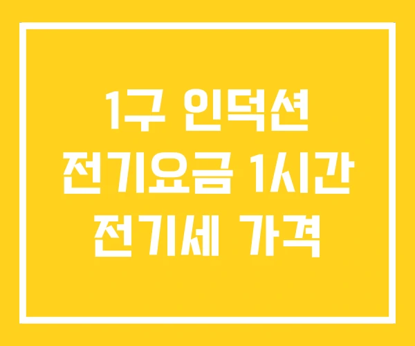 1구 인덕션 전기요금 1시간 전기세 가격