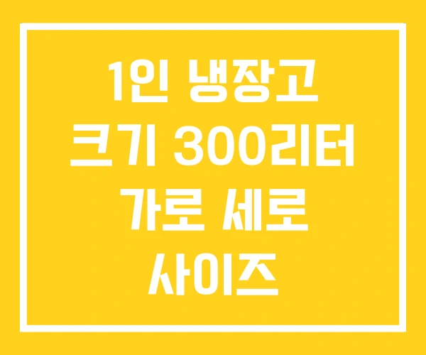 1인 냉장고 크기 300리터 가로 세로 사이즈 1인 냉장고 크기 300리터 가로 세로 사이즈