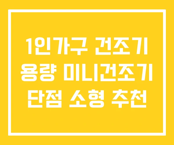 1인가구 건조기 용량 미니건조기 단점 소형 추천
