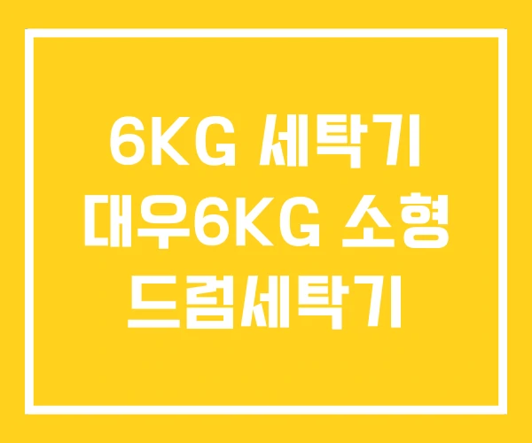 6KG 세탁기 대우6KG 소형 드럼세탁기 6KG 세탁기 대우6KG 소형 드럼세탁기