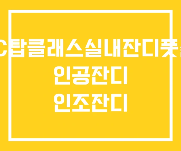 KTC탑클래스실내잔디풋살장 인공잔디 인조잔디 KTC탑클래스실내잔디풋살장 인공잔디 인조잔디