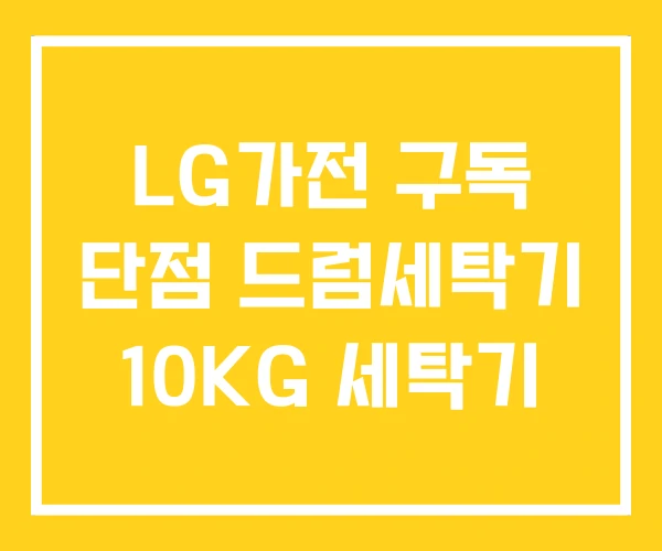 LG가전 구독 단점 드럼세탁기 10KG 세탁기 LG가전 구독 단점 드럼세탁기 10KG 세탁기
