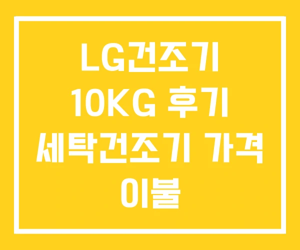 LG건조기 10KG 후기 세탁건조기 가격 이불 LG건조기 10KG 후기 세탁건조기 가격 이불
