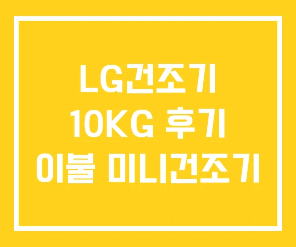 LG건조기 10KG 후기 이불 미니건조기 LG건조기 10KG 후기 이불 미니건조기