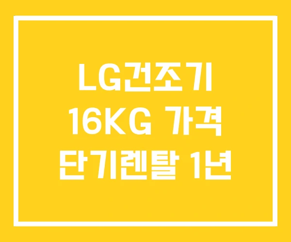 LG건조기 16KG 가격 단기렌탈 1년 LG건조기 16KG 가격 단기렌탈 1년
