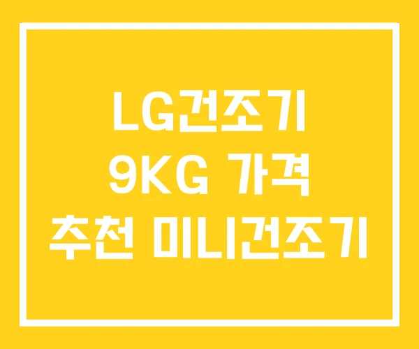LG건조기 9KG 가격 추천 미니건조기 LG건조기 9KG 가격 추천 미니건조기