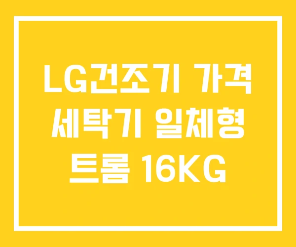 LG건조기 가격 세탁기 일체형 트롬 16KG LG건조기 가격 세탁기 일체형 트롬 16KG