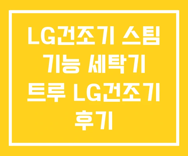 LG건조기 스팀 기능 세탁기 트루 LG건조기 후기 LG건조기 스팀 기능 세탁기 트루 LG건조기 후기