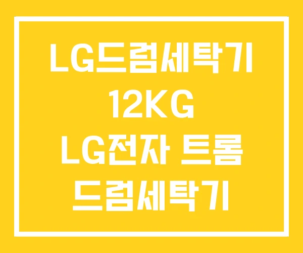 LG드럼세탁기 12KG LG전자 트롬 드럼세탁기 건조기능