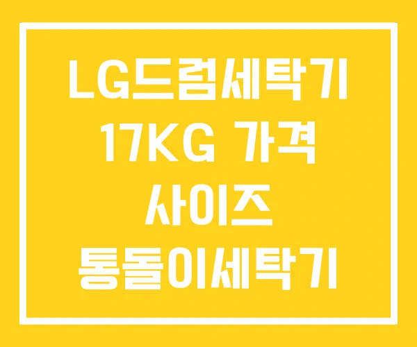 LG드럼세탁기 17KG 가격 사이즈 통돌이세탁기 LG드럼세탁기 17KG 가격 사이즈 통돌이세탁기