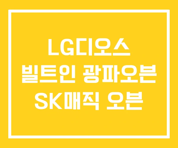 LG디오스 빌트인 광파오븐 SK매직 오븐 LG디오스 빌트인 광파오븐 SK매직 오븐