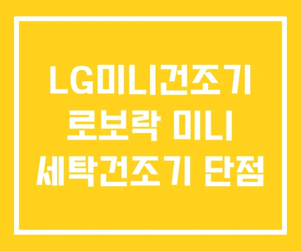 LG미니건조기 로보락 미니 세탁건조기 단점 LG미니건조기 로보락 미니 세탁건조기 단점