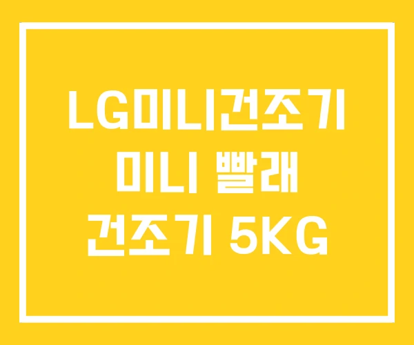 LG미니건조기 미니 빨래 건조기 5KG LG미니건조기 미니 빨래 건조기 5KG